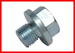 Plug Bolt