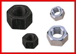 Hex nuts 