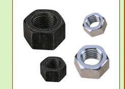 Hex Nuts 